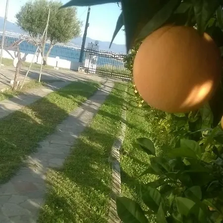 Blue Σπίτι διακοπών Αγία Τριάδα